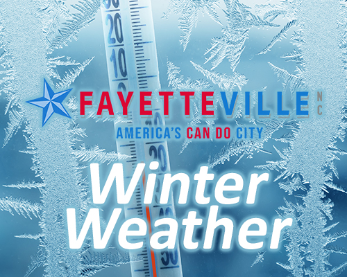 winter_web_spotlight
